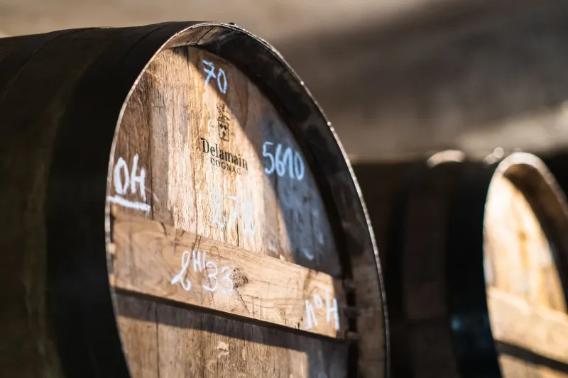 Nero come la notte, prezioso come l'oro: il balsamico tradizionale che si fa aspettare una vita